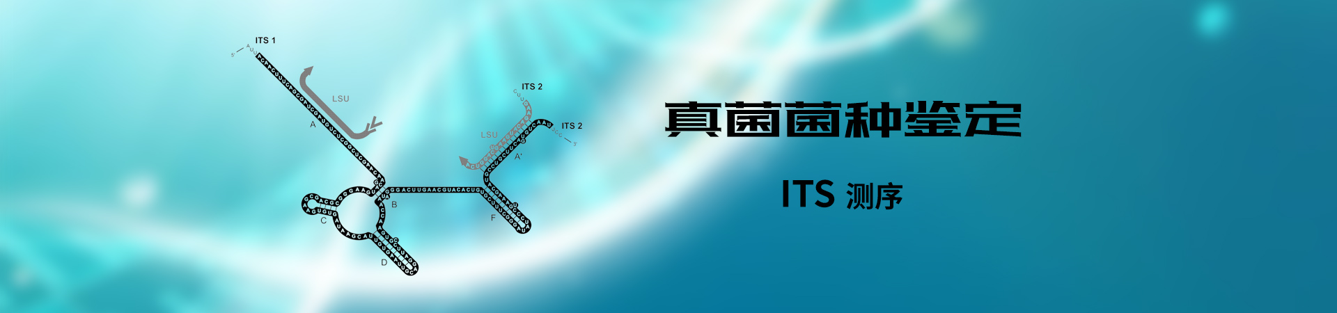 這是描述信息